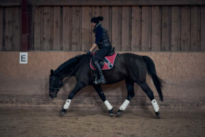 Rappe dehnen lassen beim Reiten